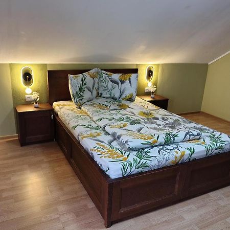 Vis Pension Viile Satu Mare Exteriör bild