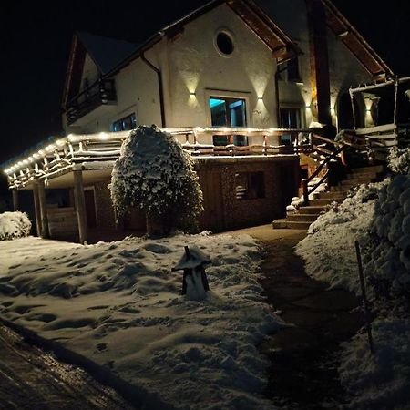 Vis Pension Viile Satu Mare Exteriör bild