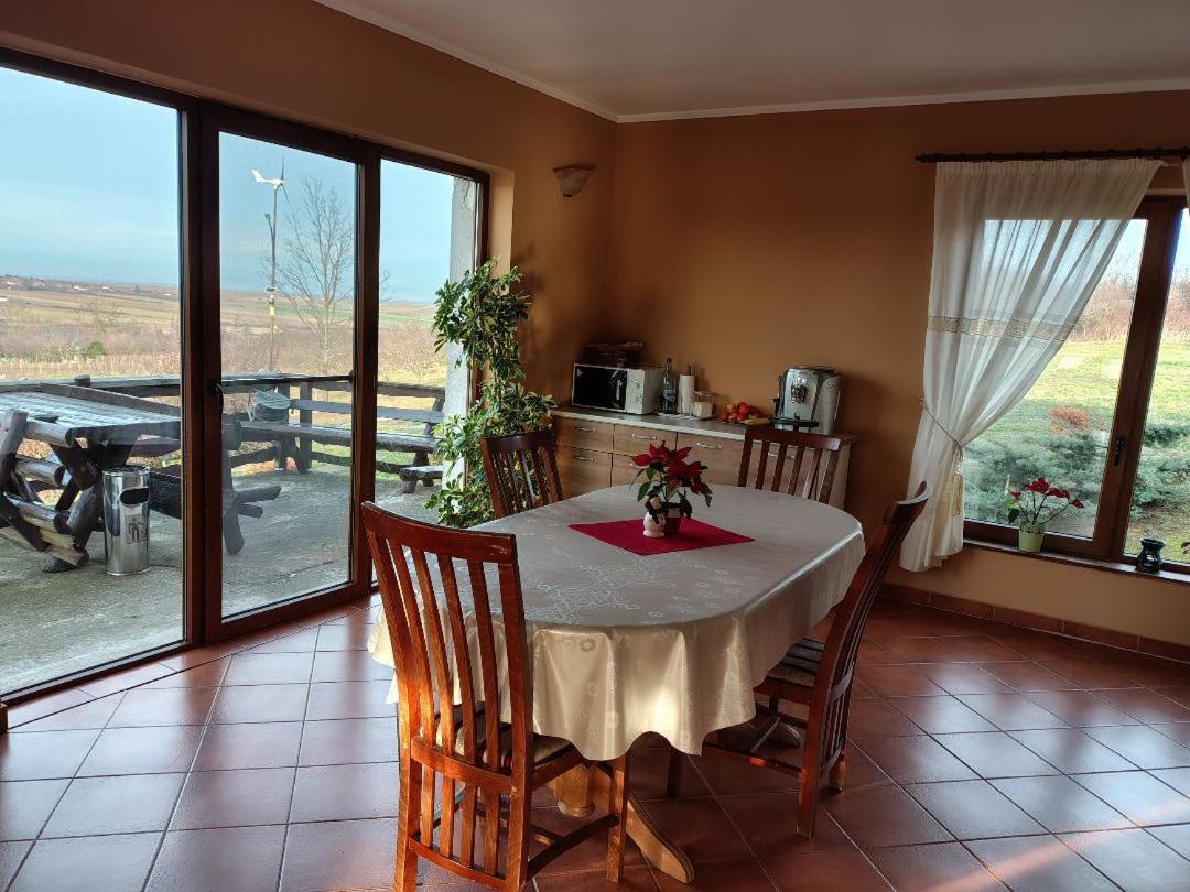 Vis Pension Viile Satu Mare Exteriör bild