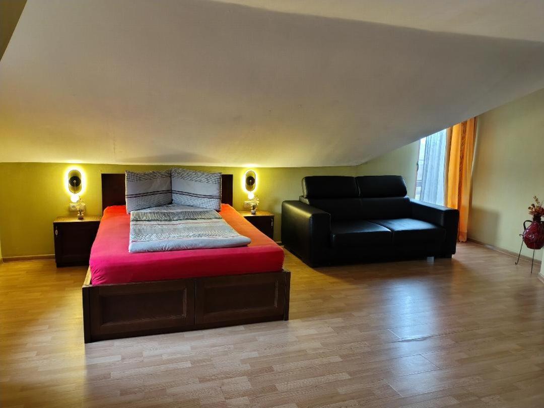 Vis Pension Viile Satu Mare Exteriör bild