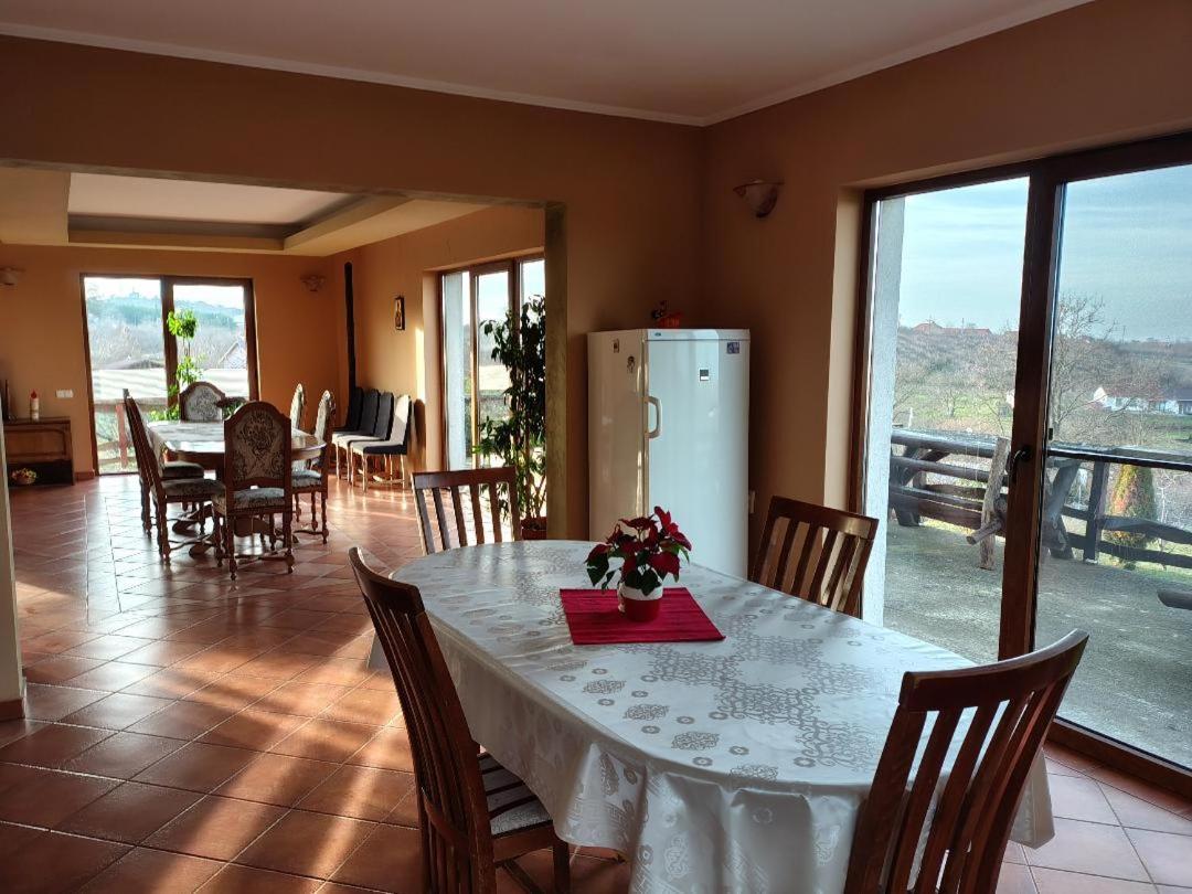 Vis Pension Viile Satu Mare Exteriör bild