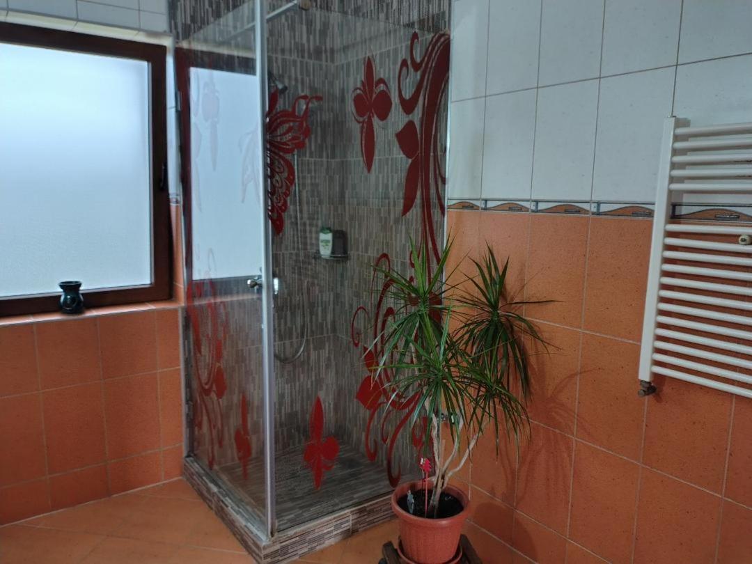 Vis Pension Viile Satu Mare Exteriör bild