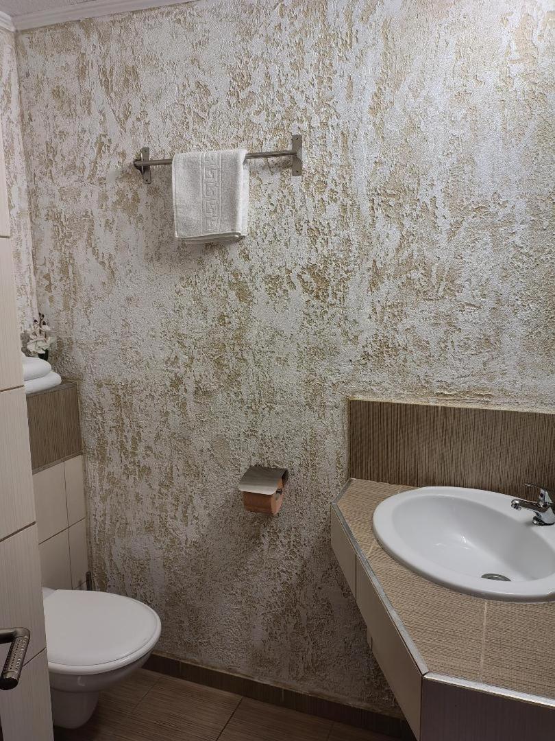 Vis Pension Viile Satu Mare Exteriör bild