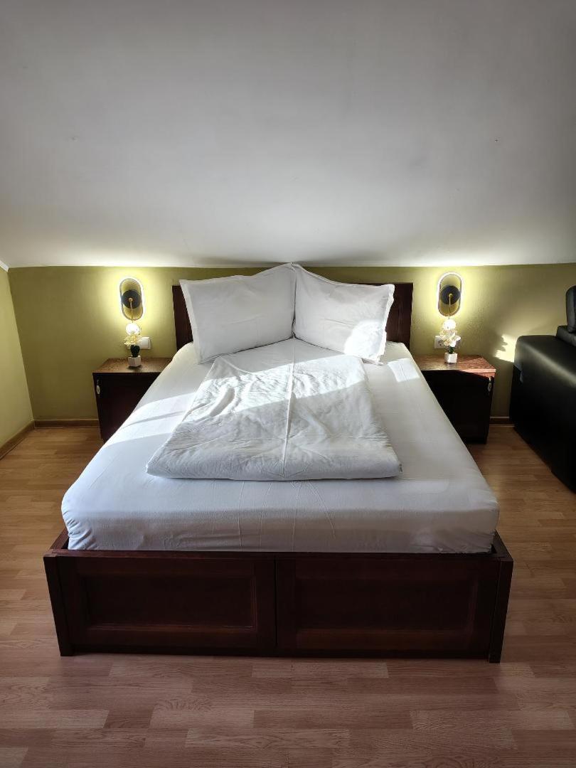 Vis Pension Viile Satu Mare Exteriör bild