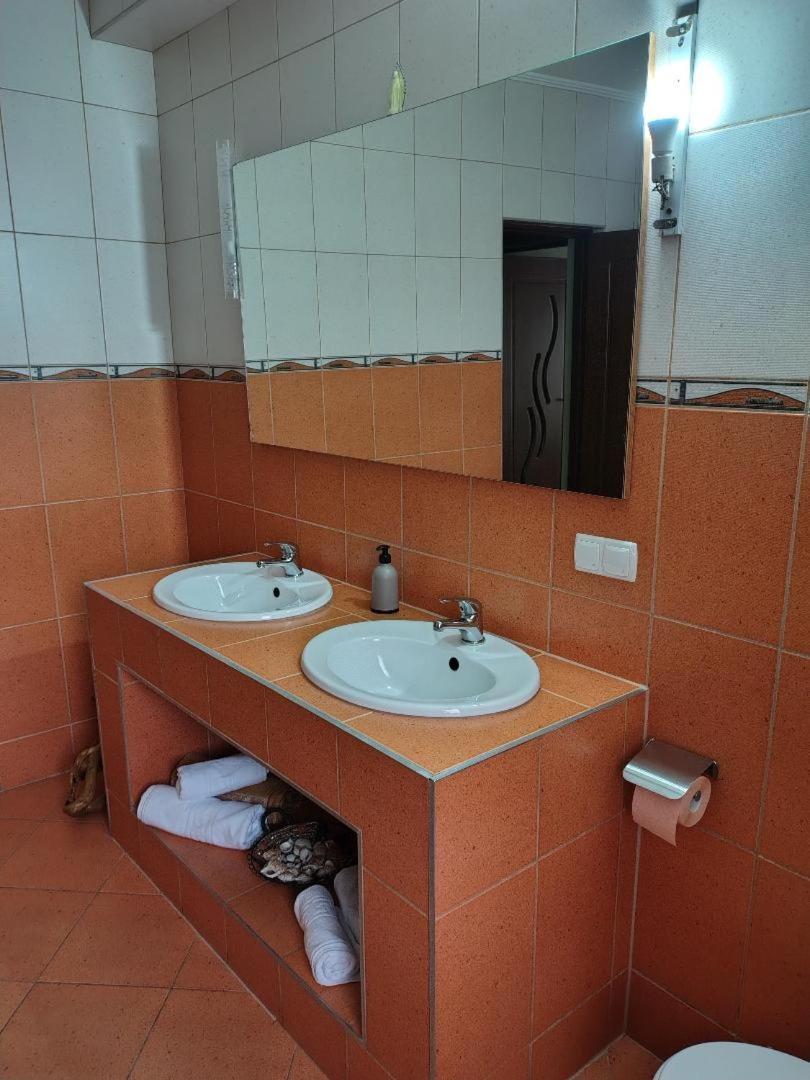 Vis Pension Viile Satu Mare Exteriör bild