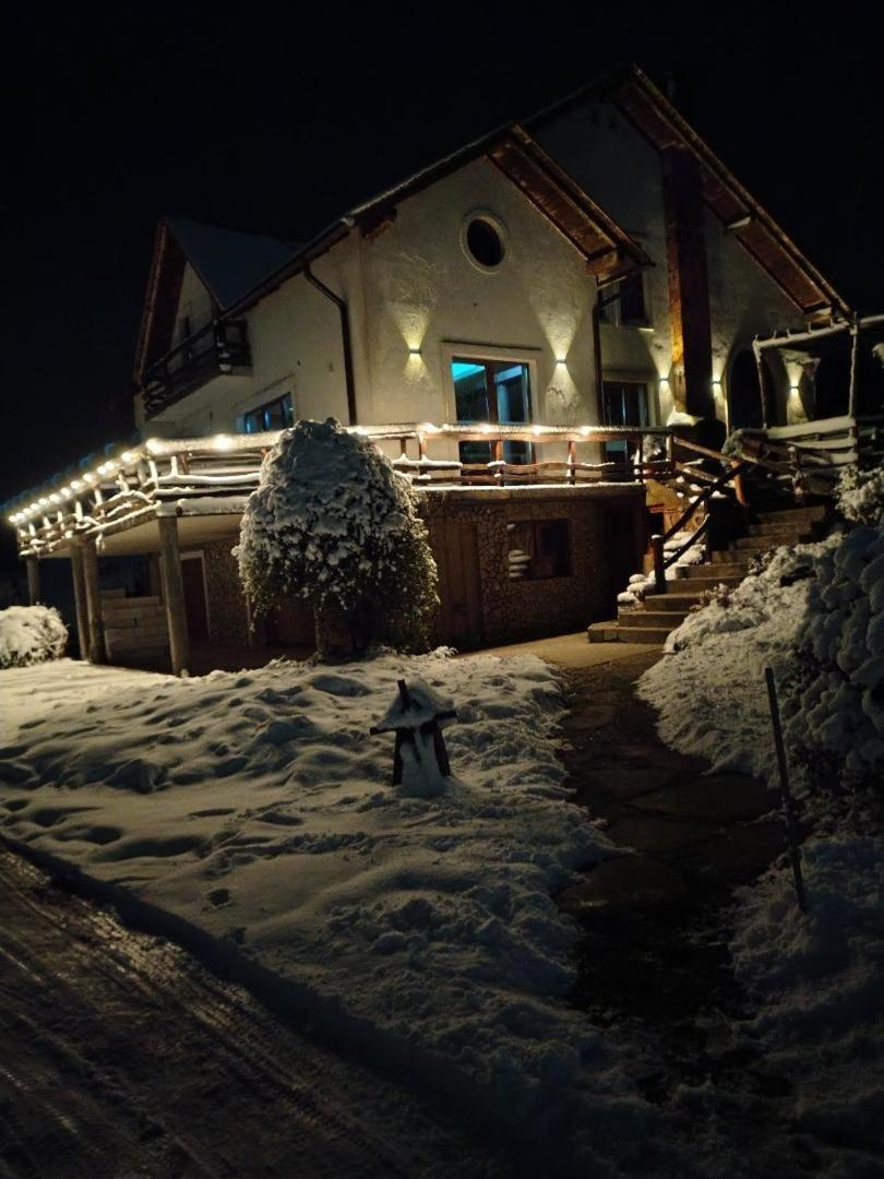 Vis Pension Viile Satu Mare Exteriör bild