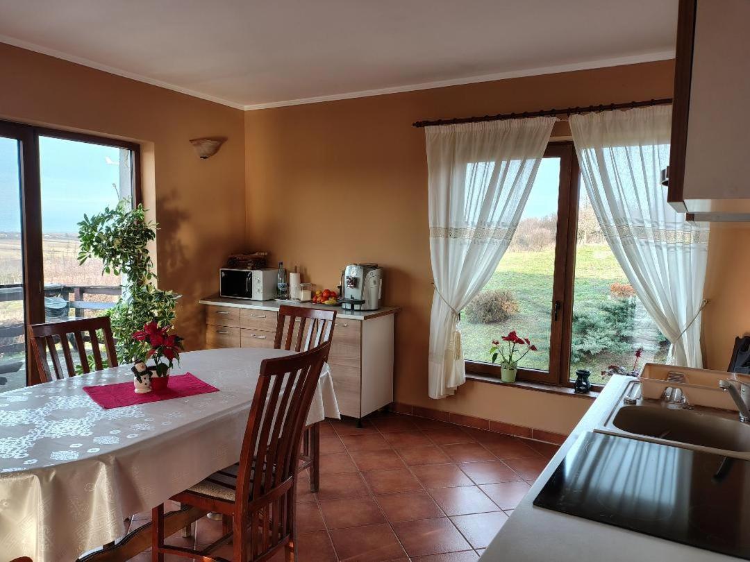 Vis Pension Viile Satu Mare Exteriör bild