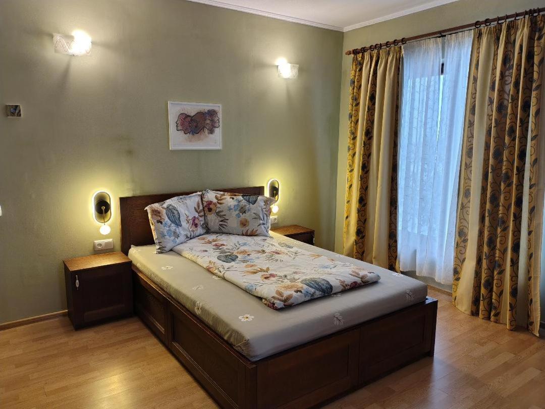 Vis Pension Viile Satu Mare Exteriör bild