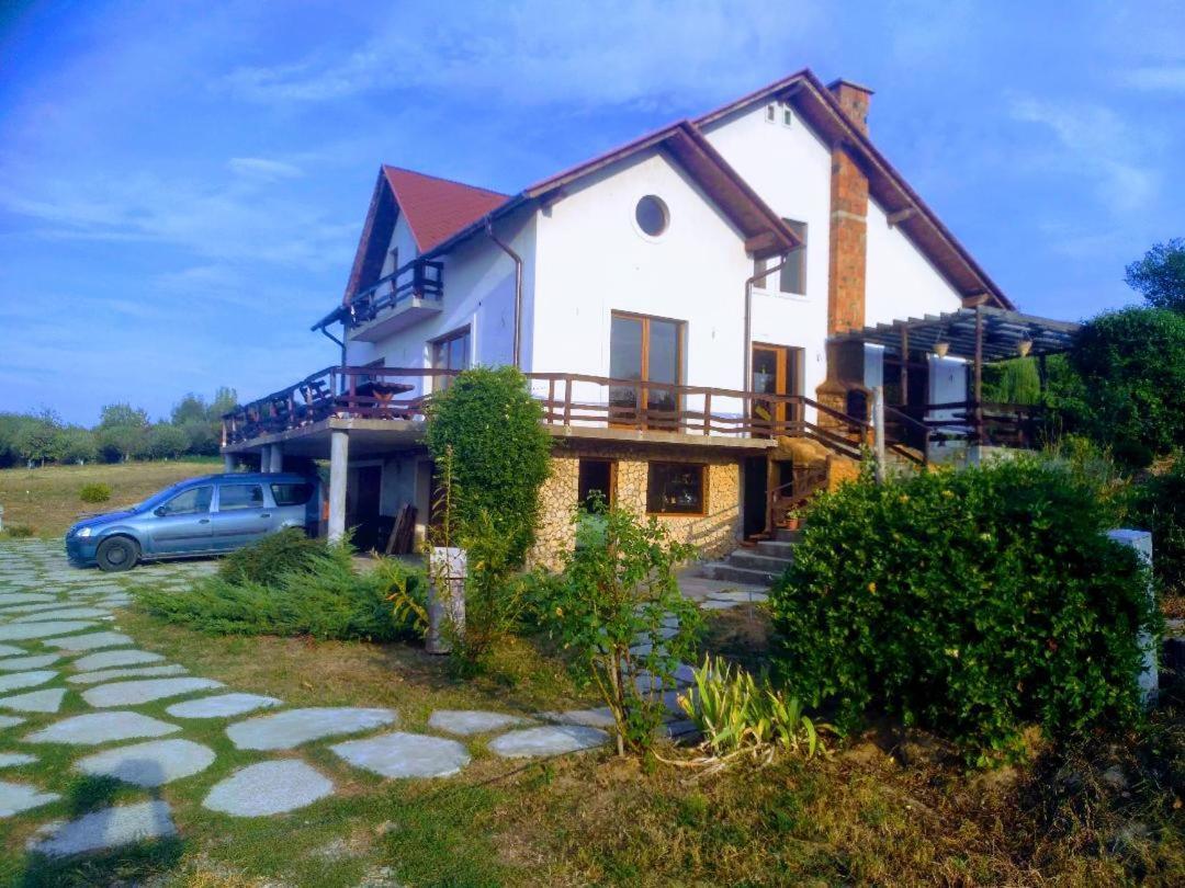 Vis Pension Viile Satu Mare Exteriör bild