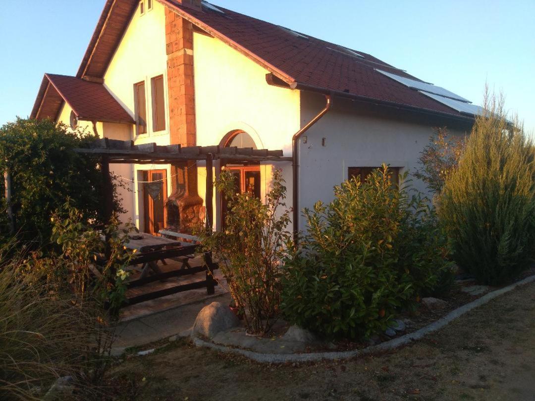 Vis Pension Viile Satu Mare Exteriör bild