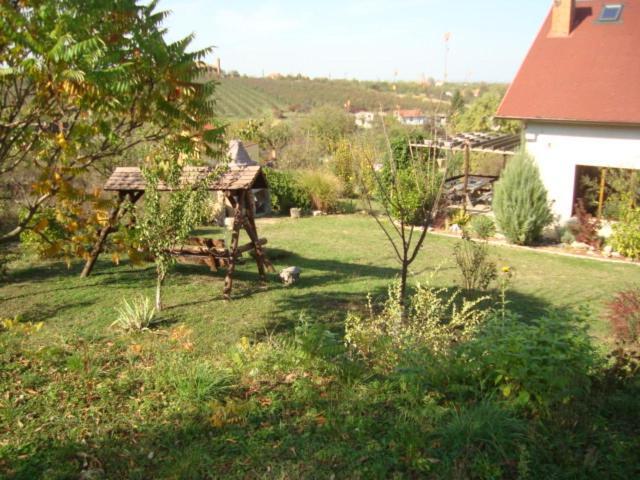 Vis Pension Viile Satu Mare Exteriör bild