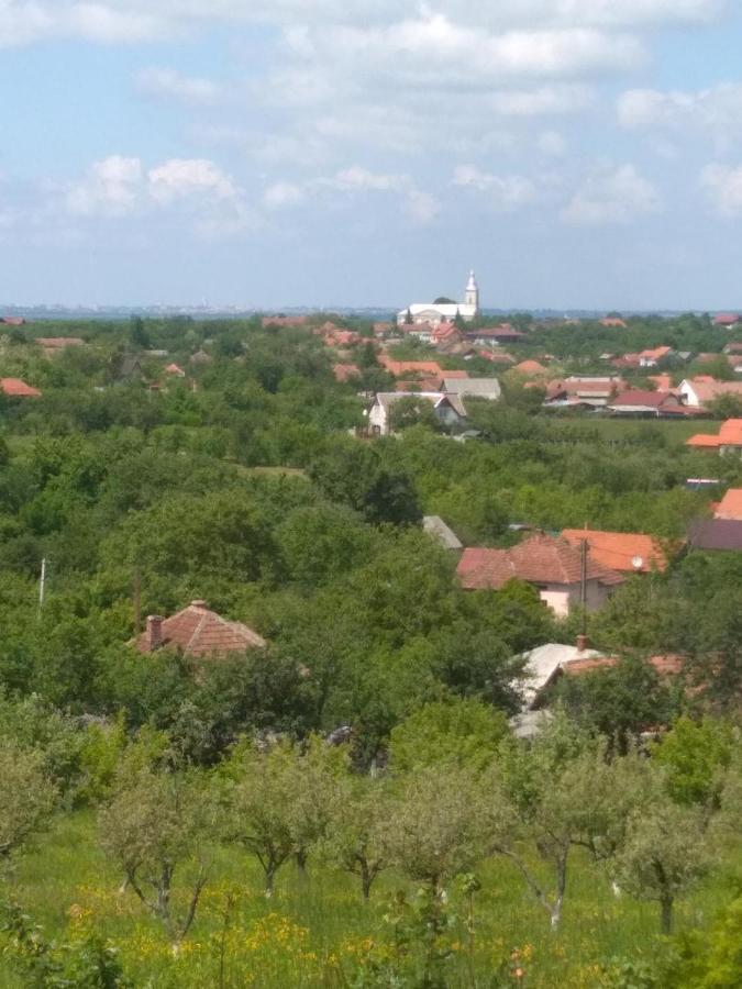 Vis Pension Viile Satu Mare Exteriör bild