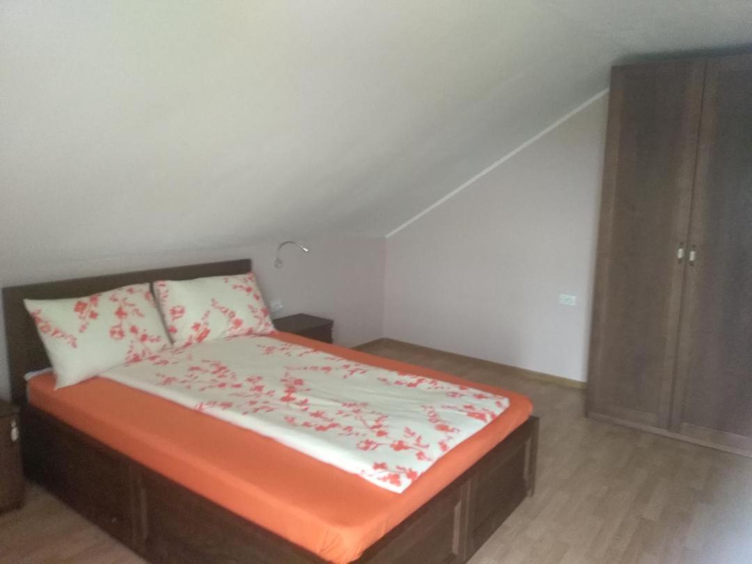 Vis Pension Viile Satu Mare Exteriör bild