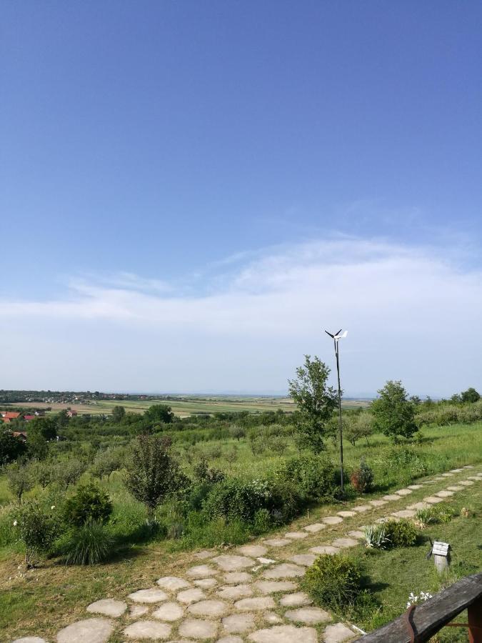 Vis Pension Viile Satu Mare Exteriör bild