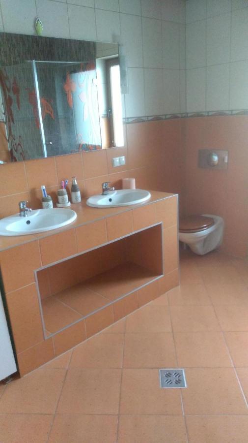 Vis Pension Viile Satu Mare Exteriör bild