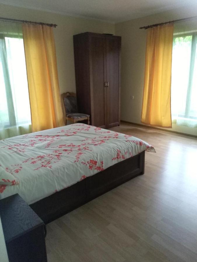 Vis Pension Viile Satu Mare Exteriör bild