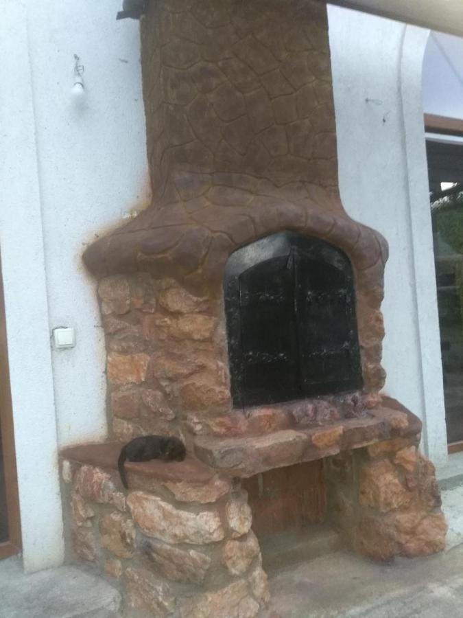 Vis Pension Viile Satu Mare Exteriör bild