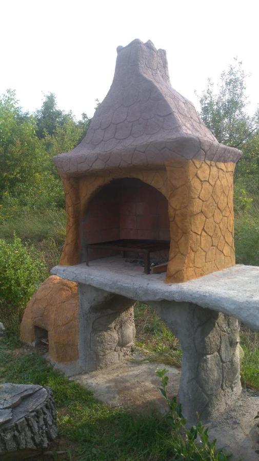 Vis Pension Viile Satu Mare Exteriör bild