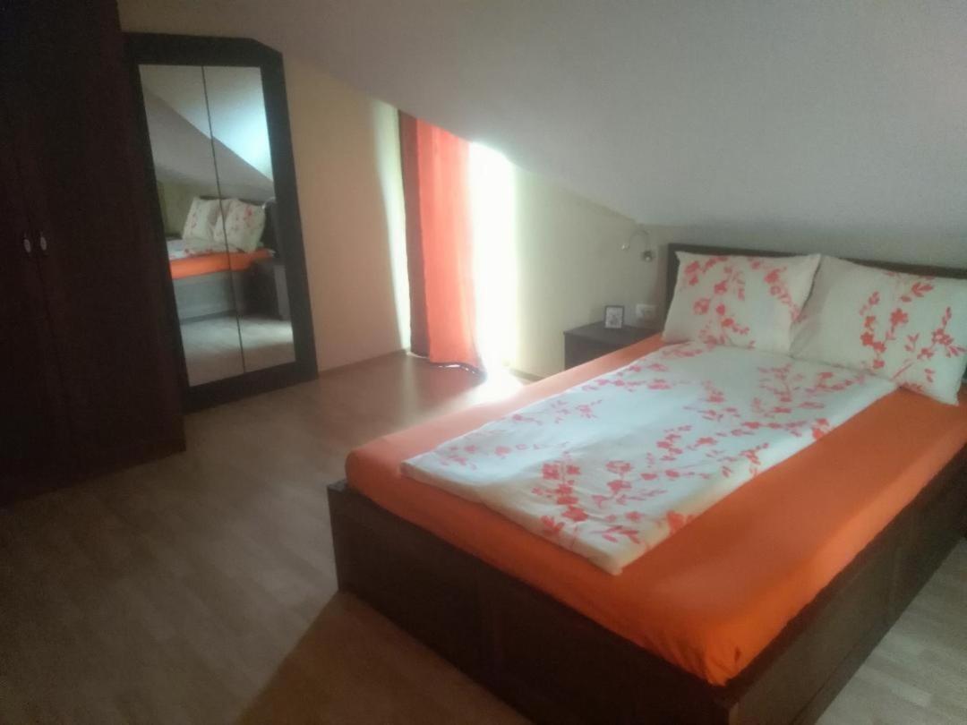 Vis Pension Viile Satu Mare Exteriör bild