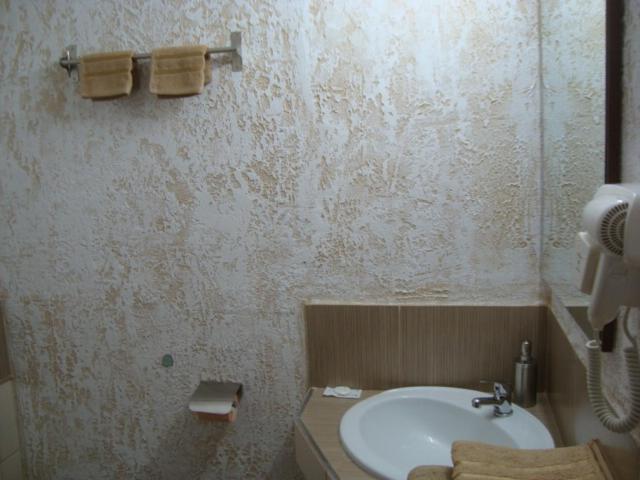 Vis Pension Viile Satu Mare Exteriör bild