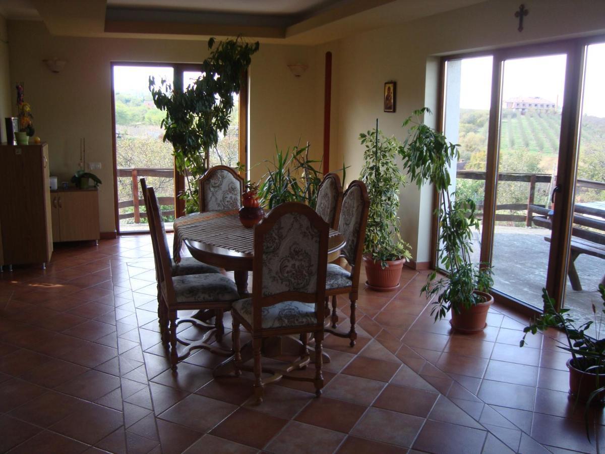 Vis Pension Viile Satu Mare Exteriör bild