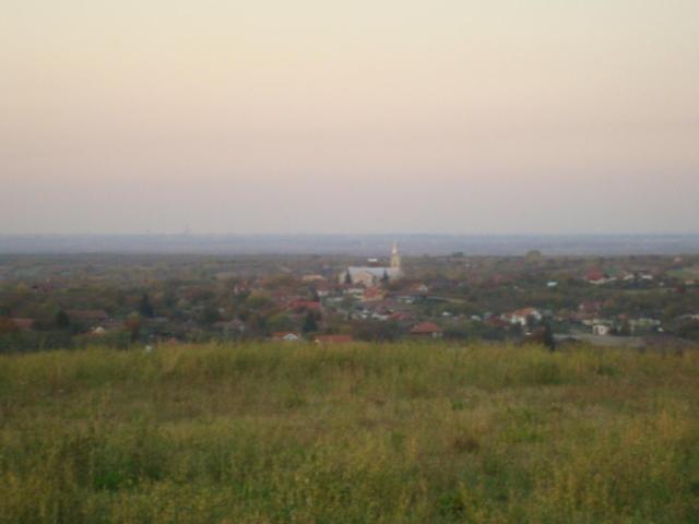 Vis Pension Viile Satu Mare Exteriör bild